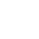 Intellectual Property Protection