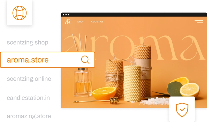 Register a Domain Name